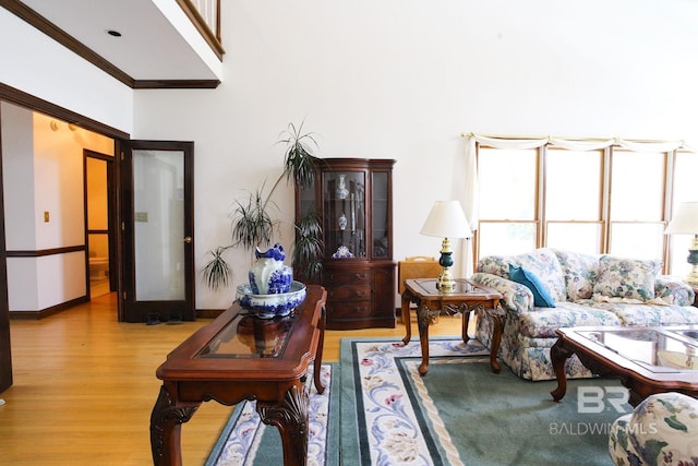 living room with crown molding and light hardwood / wood-style flooring