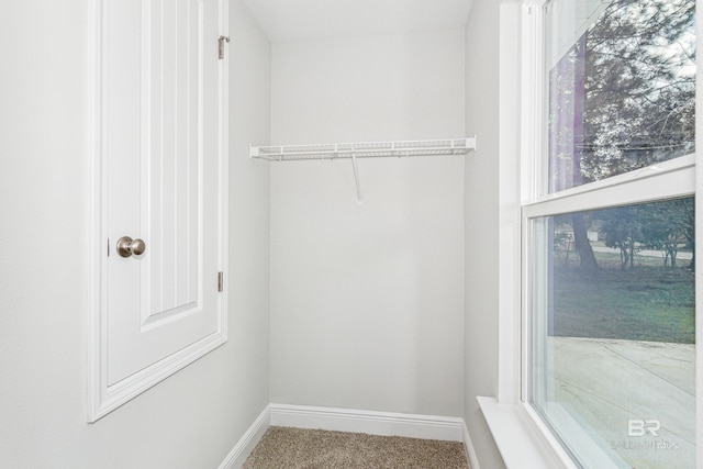 spacious closet featuring carpet floors