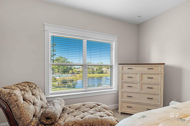 carpeted bedroom with baseboards and multiple windows