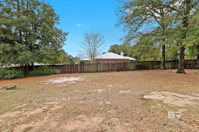 view of yard