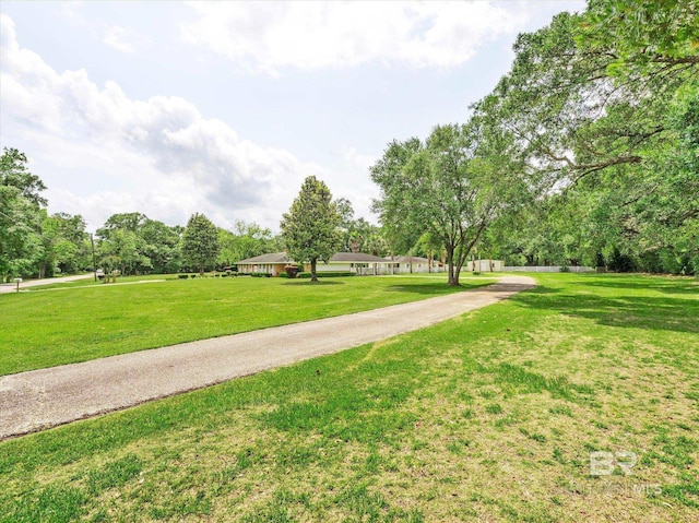 view of property's community with a yard