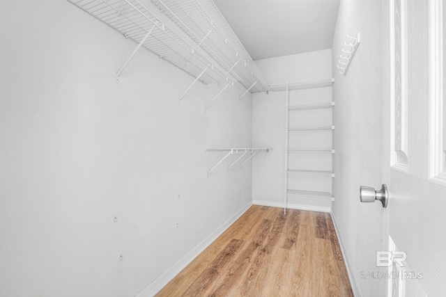 walk in closet with light wood-type flooring