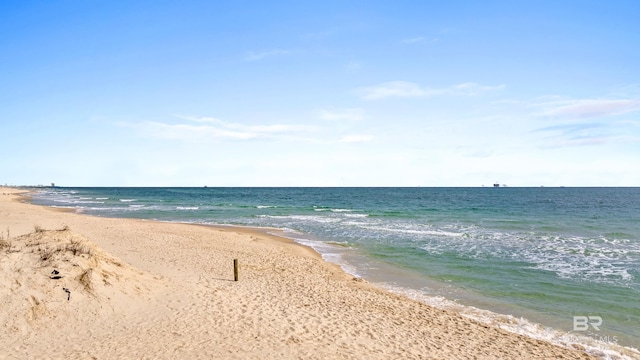 water view featuring a beach view