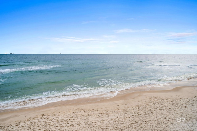 property view of water featuring a beach view