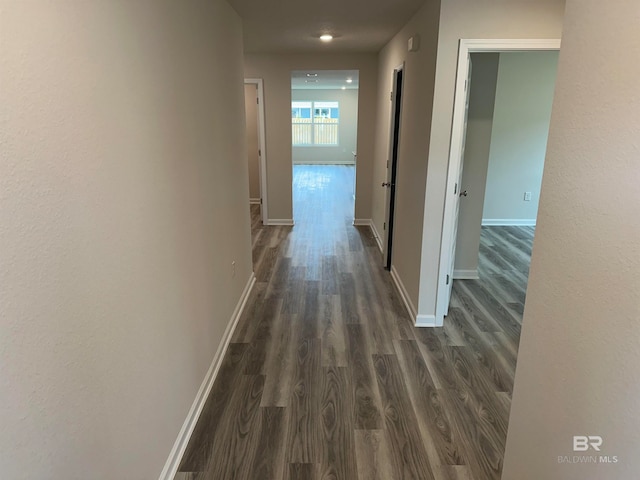 corridor featuring dark hardwood / wood-style flooring