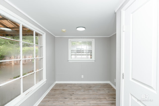 empty room with light wood-type flooring, plenty of natural light, and ornamental molding