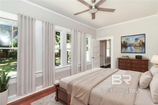 bedroom featuring multiple windows, hardwood / wood-style floors, and ceiling fan