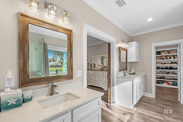 bathroom featuring vanity, wood-type flooring, and walk in shower