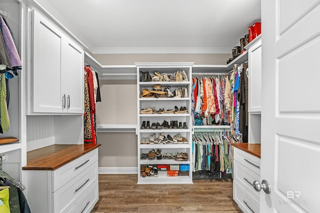 walk in closet featuring dark hardwood / wood-style floors