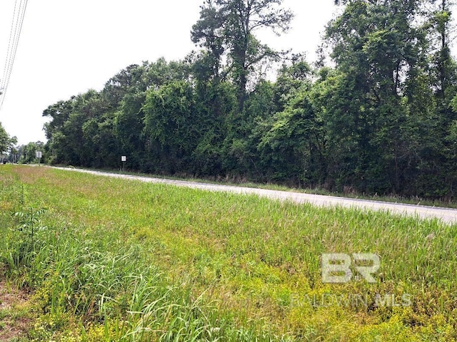 Listing photo 3 for 0000 State Highway 225, Bay Minette AL 36507