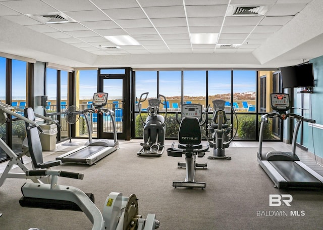 exercise room with carpet floors, visible vents, a drop ceiling, and floor to ceiling windows