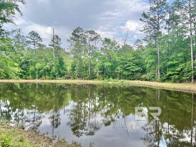 water view with a wooded view