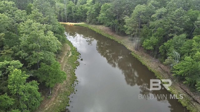 birds eye view of property with a view of trees and a water view