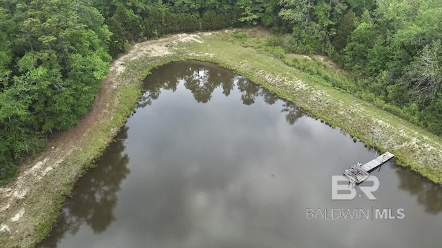 birds eye view of property featuring a water view and a view of trees