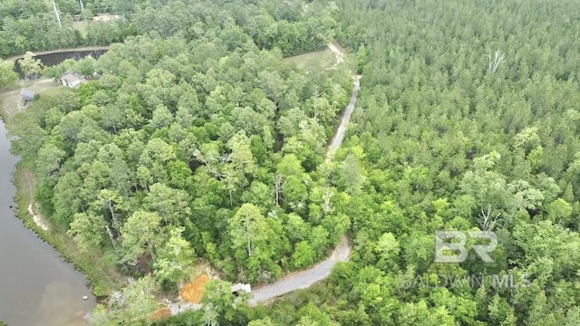 bird's eye view with a view of trees