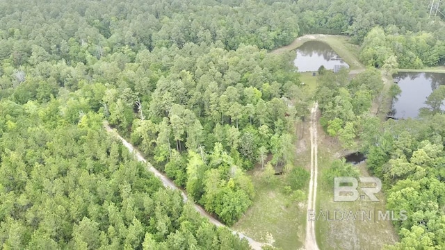 bird's eye view with a water view and a wooded view