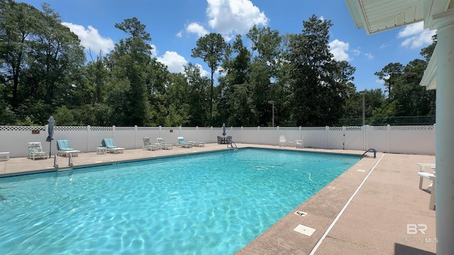 view of swimming pool with a patio