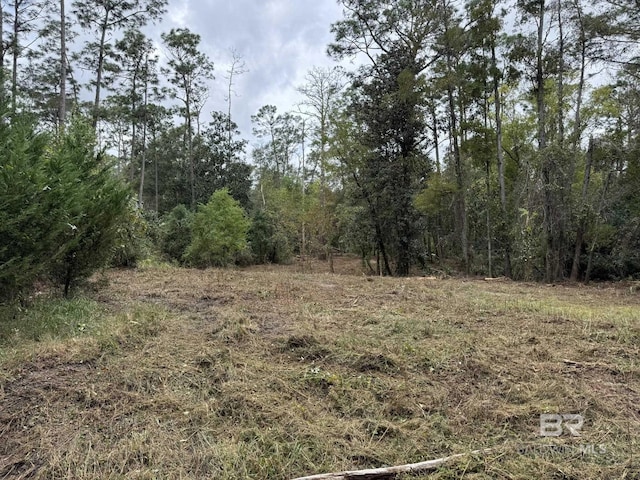 19153 E River Rd N, Silverhill AL, 36576 land for sale