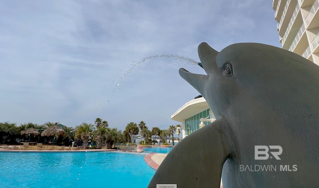 view of community pool