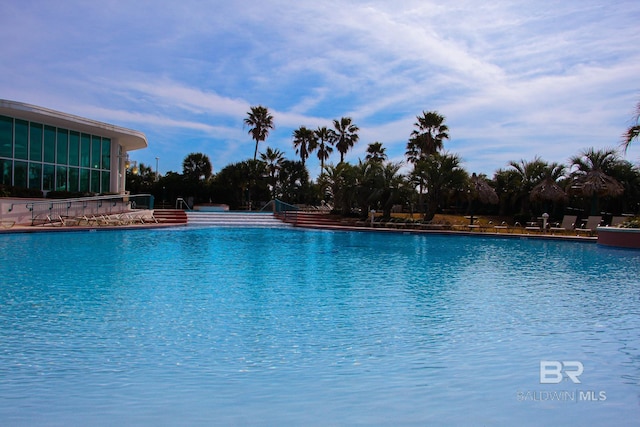 view of community pool