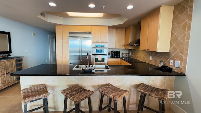 kitchen featuring a peninsula, appliances with stainless steel finishes, a raised ceiling, and a sink