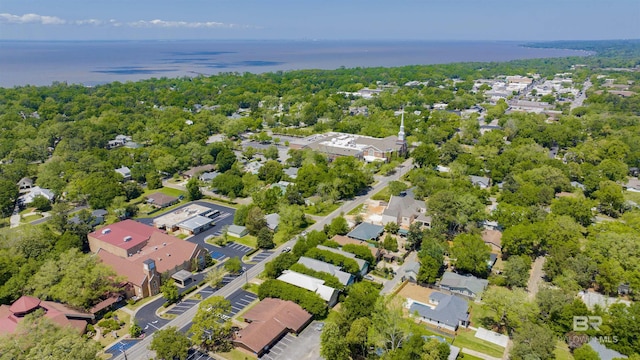 375 S Section St, Fairhope, AL 36532 - aerial view with a residential view