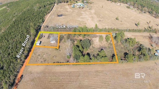 20050 Tuck Ln, Loxley, AL 36551