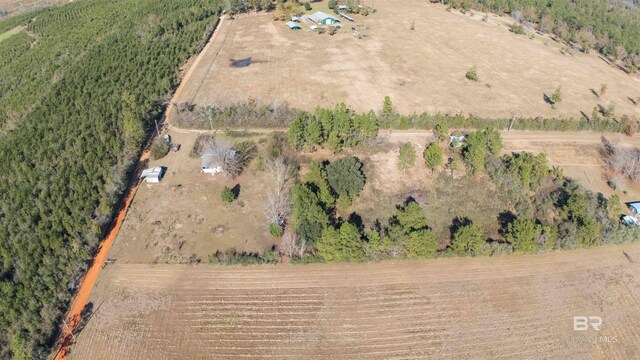 20050 Tuck Ln, Loxley, AL 36551