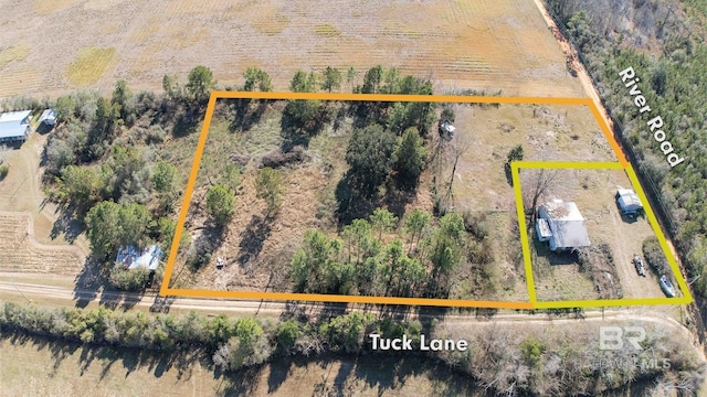 20050 Tuck Ln, Loxley, AL 36551