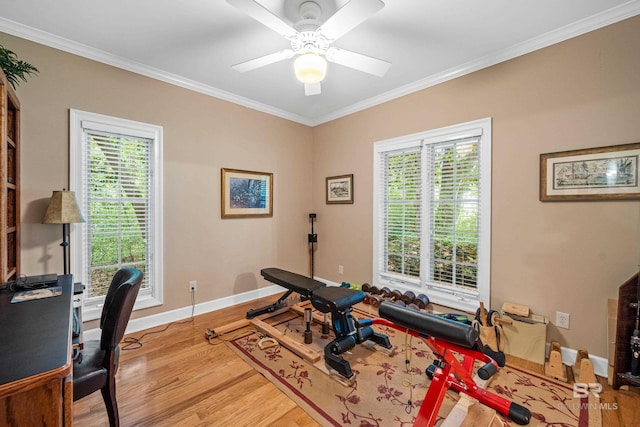 85 Blue Island Ave, Fairhope, AL 36532 - workout area featuring crown molding, plenty of natural light, wood finished floors, and baseboards