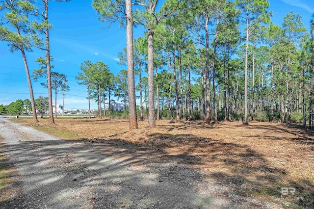 Listing photo 3 for 0 Canal Rd, Orange Beach AL 36561