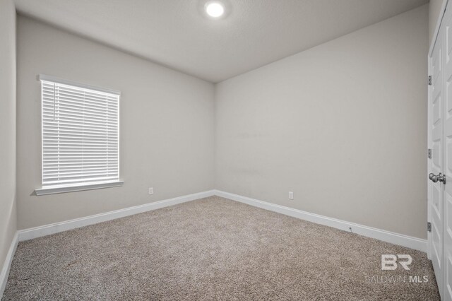 unfurnished room with carpet