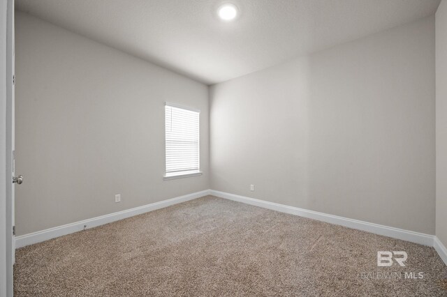 unfurnished room featuring carpet