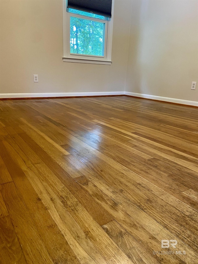 empty room with wood-type flooring