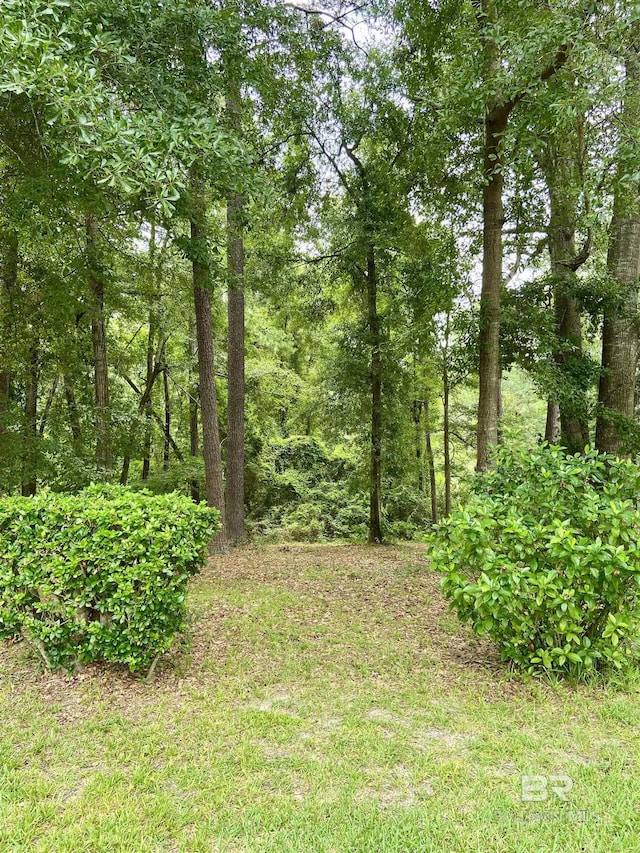 view of landscape