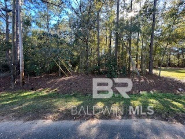 0 Bayou Jonas Dr, Coden AL, 36523 land for sale