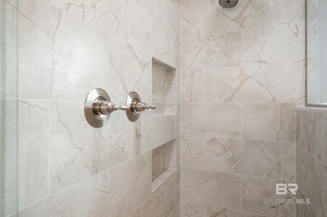 room details with tiled shower