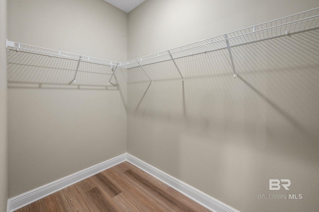 spacious closet featuring hardwood / wood-style floors