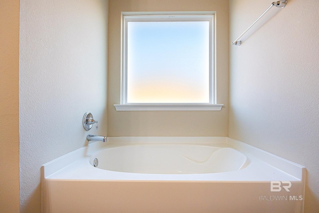 bathroom with a bathtub and a wealth of natural light