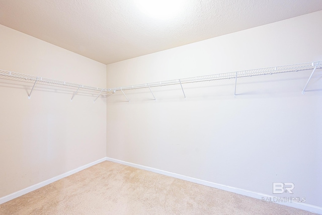 spacious closet featuring carpet floors