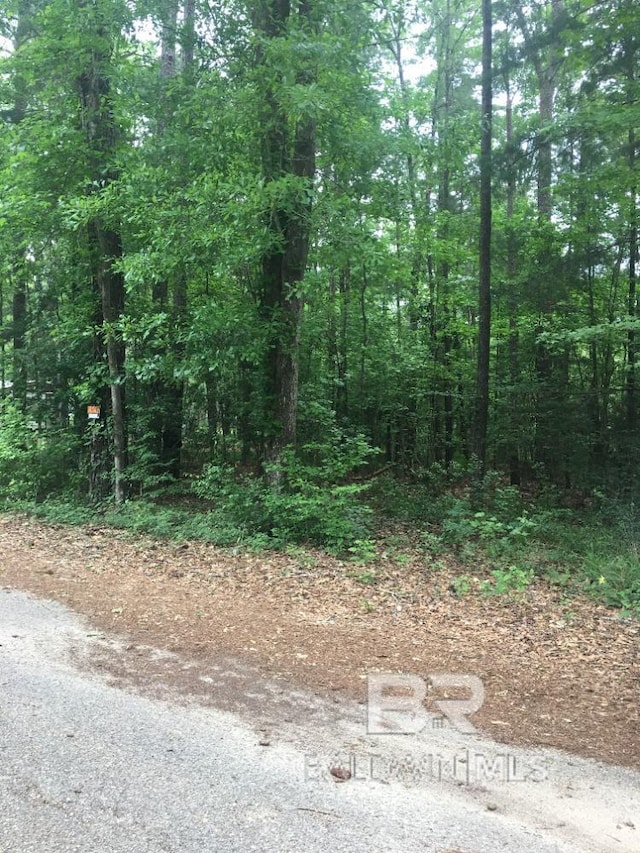 0 Solomon St, Brewton AL, 36426 land for sale