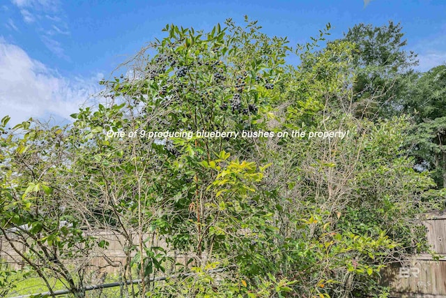 23214 Rochelle Loop, Robertsdale, AL 36567 - view of nature