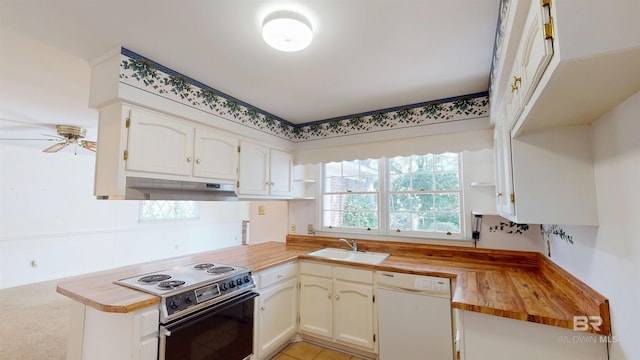 kitchen featuring range with electric stovetop, open shelves, a sink, dishwasher, and under cabinet range hood