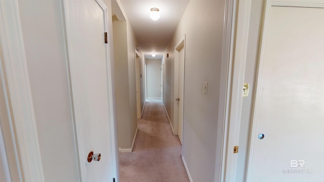 hall with light carpet and baseboards