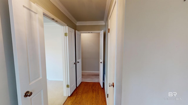 corridor featuring crown molding and wood finished floors