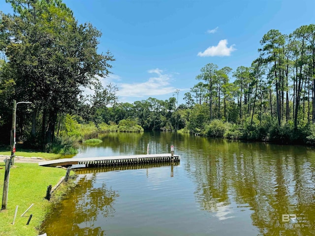 dock area with a lawn and a water view
