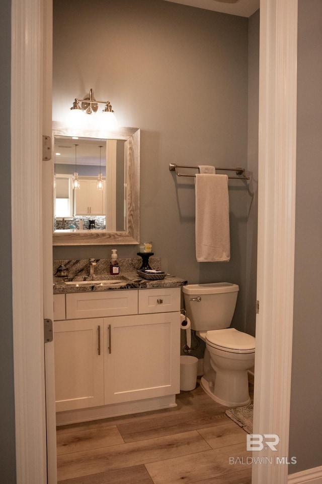 bathroom with toilet, vanity, and wood-type flooring