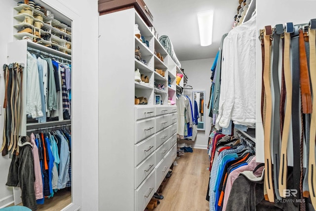 spacious closet featuring light wood finished floors