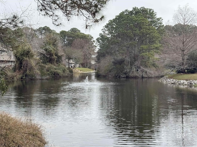 view of water feature