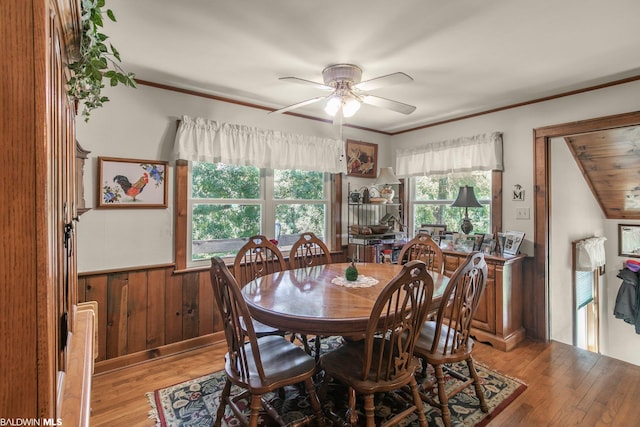 dining room with ceiling fan, light hardwood / wood-style flooring, and ornamental molding